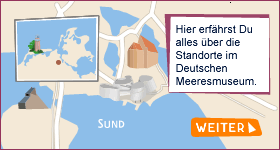 Museum + Ausstellung