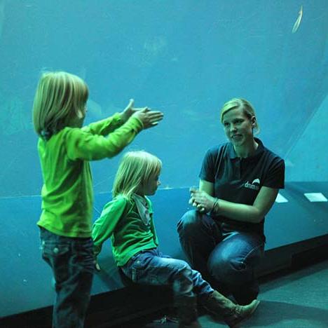 Lernt mehr über unsere Aquarientiere. (Foto: Johannes-Maria Schlorke / Deutsches Meeresmuseum)