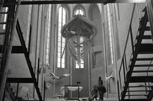 Seit 1974 hängt das Finnwalskelett im Chor der Katharinenhalle (Foto: Sabine Burwitz / Deutsches Meeresmuseum)
