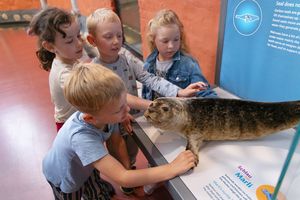 Minis im Museum: Meeressäuger-Mission im MEERESMUSEUM (Foto: Anke Neumeister / Deutsches Meeresmuseum)