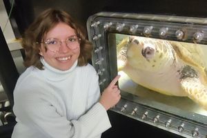 FÖJ-lerin Maike zu Besuch bei den Meeresschildkröten im OZEANEUM (Foto: Deutsches Meeresmuseum)