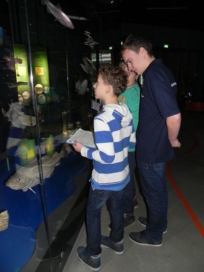 FÖJ'ler Sven unterstützt Schüler während einer Themenwerkstatt im OZEANEUM (© OZEANEUM)