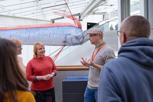 Ab ins blaue Meer! Öffentliche Führung im OZEANEUM (Foto: Anke Neumeister / Deutsches Meeresmuseum)