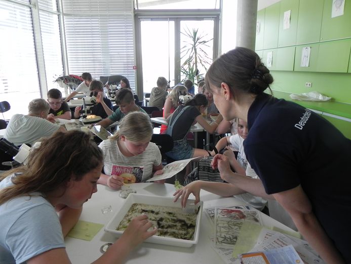 (Foto: Verena Kalter / Deutsches Meeresmuseum)