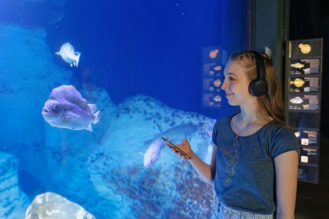 Audioguide im OZEANEUM (Foto: Anke Neumeister / Deutsches Meeresmuseum)