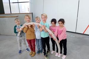 AG OZEANEUM mit der Kindertagesstätte Küstenkinder (Foto: Nina Seidel / Deutsches Meeresmuseum)