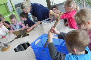 AG mit der Kita "Lütt Matten" im OZEANEUM (Foto: Deutsches Meeresmuseum)