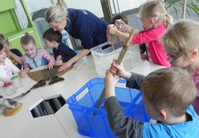 AG mit der Kita "Lütt Matten" im OZEANEUM (Foto: Deutsches Meeresmuseum)