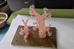 Blick in die Präparationswerkstatt des Deutschen Meeresmuseums (Foto: Alfons Bittermann / Deutsches Meeresmuseum)