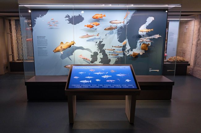 Fischratespiel in der Ausstellung Fischerei im MEERESMUSEUM (Foto: Anke Neumeister / Deutsches Meeresmuseum)