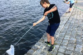 Die Young MeMus keschern im Strelasund. (Foto: Eva Klooth / Deutsches Meeresmuseum)