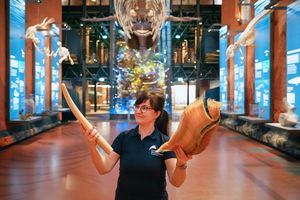 Was ist vom Wal? Winterferien im MEERESMUSEUM (Foto: Anke Neumeister / Deutsches Meeresmuseum)