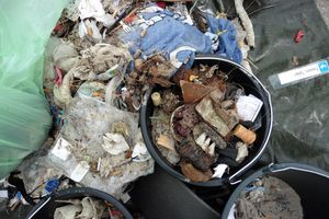 Gesammelter Müll am International Coastal Cleanup Day 2021 im Nationalpark Vorpommersche Boddenlandschaft (Foto: Eva Klooth / Deutsches Meeresmuseum)