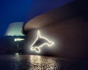 Orca-Beleuchtung am OZEANEUM. (Foto: Lydia Pech / Deutsches Meeresmuseum)