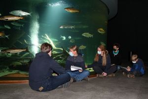 Eva Klooth - Museumspädagogin im MEERESMUSEUM mit dem Jugendclub Young MeMus (Foto Jan-Peter Reichert / Deutsches Meeresmuseum)