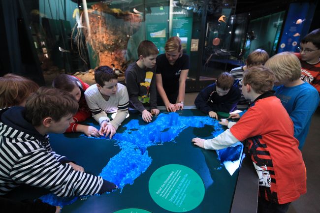 Me(e)hr Wissen erleben im OZEANEUM (Foto: Johannes-Maria Schlorke / Deutsches Meeresmuseum)