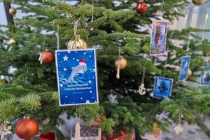 Adventskalender am Weihnachtsbaum des OZEANEUMs (Foto: Anke Neumeister / Deutsches Meeresmuseum)