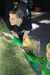 Annika Weseloh - Museumspädagogin im OZEANEUM (Foto: J.-M. Schlorke)