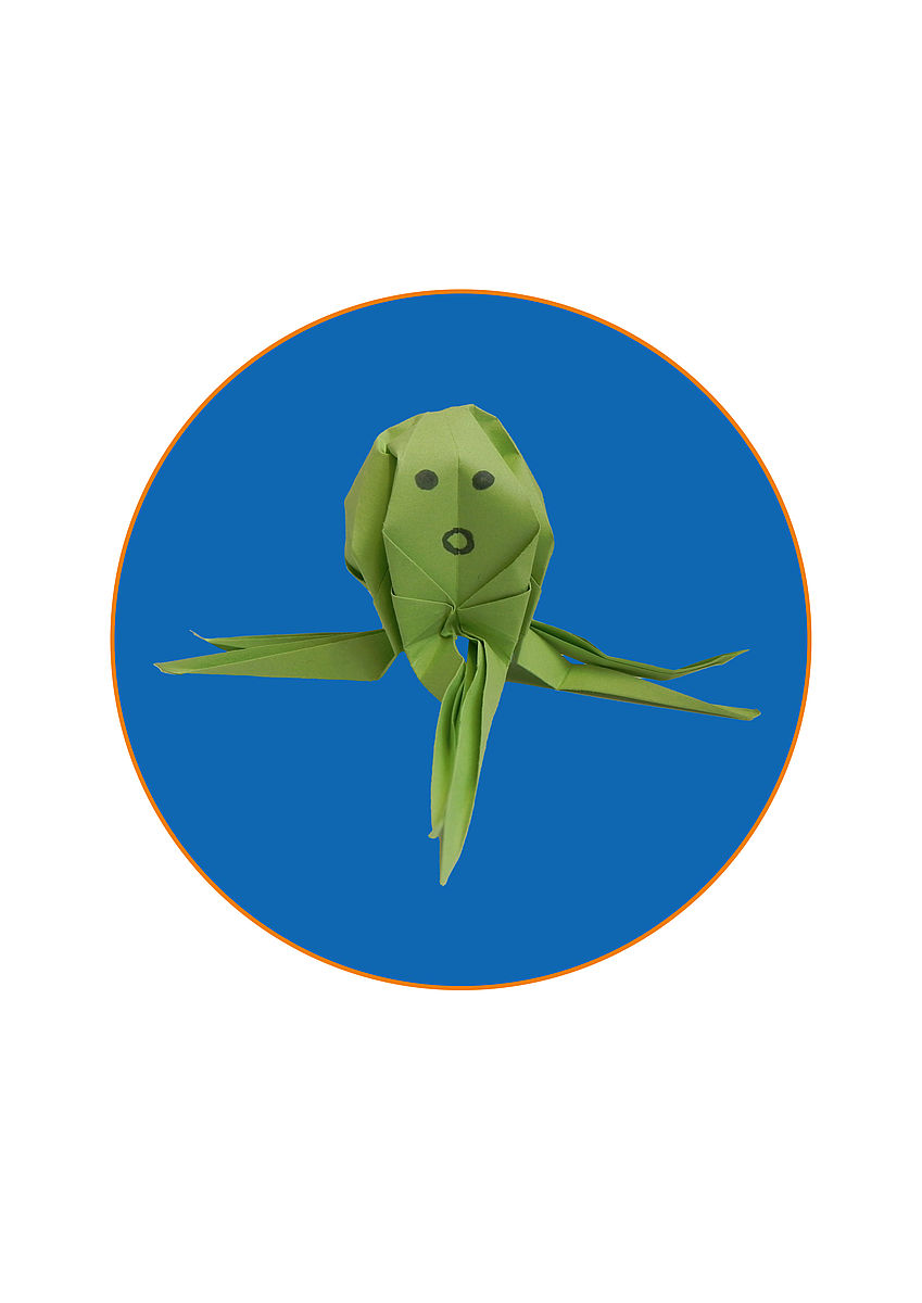 Bastel einen Oktopus!