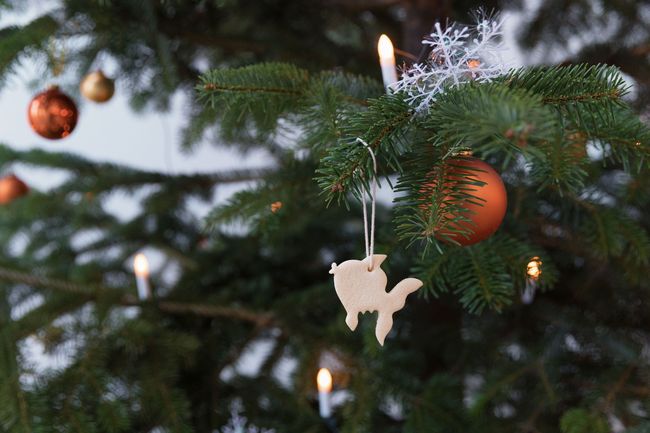 Weihnachtlich geschmücktes Foyer des OZEANEUMs (Foto: Anke Neumeister / Deutsches Meeresmuseum)