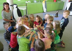 Die Kinder der KiTa "Lütt Matten" erkunden die Weltmeere. (Foto: Deutsches Meeresmuseum)
