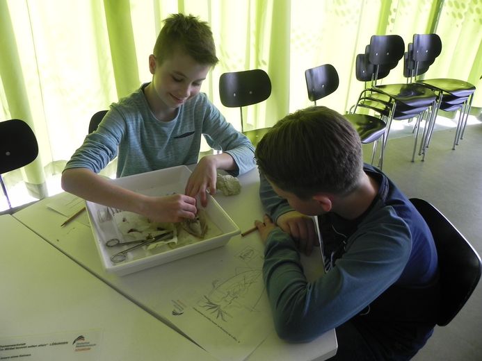 (Foto: Verena Kalter / Deutsches Meeresmuseum)