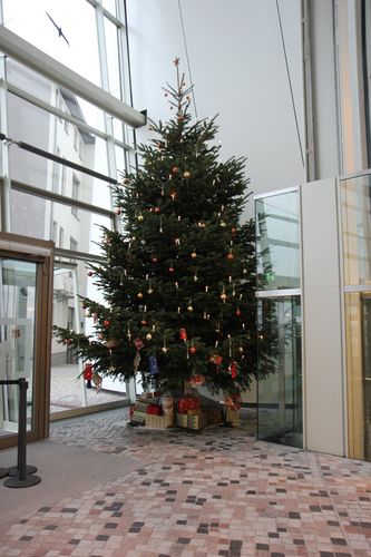 Weihnachtsbaum im OZEANEUM