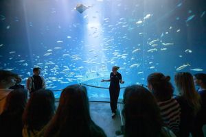FÖJ-lerin Jette bei einer Führung im OZEANEUM (Foto: Anke Neumeister / Deutsches Meeresmuseum)
