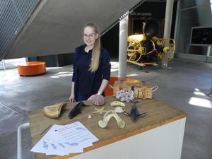 Infostand mit Familienquiz. (Foto: Lydia Pech / Deutsches Meeresmuseum)