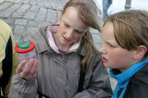 Jugendclub des Deutschen Meeresmuseums (Foto: Deutsches Meeresmuseum)