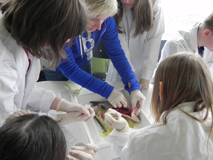 (Foto: Verena Kalter / Deutsches Meeresmuseum)