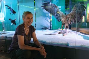 Bärbel Eisenblätter - Museumspädagogin im OZEANEUM (Foto: Anke Neumeister / Deutsches Meeresmuseum)