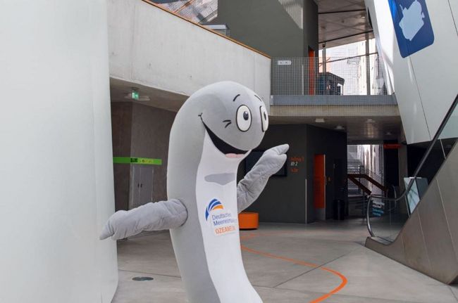 Walfred, Botschafter für Kinder im Deuschen Meeresmuseum (Foto: Almut Neumeister / Deutsches Meeresmuseum)