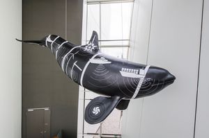Das Orca-Weibchen im Foyer trägt den menschengemachten Unterwasserlärm als Tattoos. (Foto: Johannes-Maria Schlorke / Deutsches Meeresmuseum)