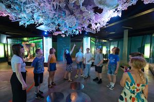 In der Ostsee-Ausstellung veranschaulicht eine Rauminstallation das in dem Meer vorkommende Plankton (Foto: Anke Neumeister/Deutsches Meeresmuseum)